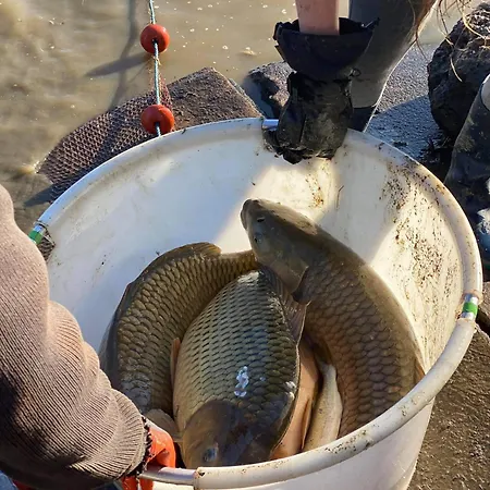 Gite De L'hirondelle Semesterbostad *