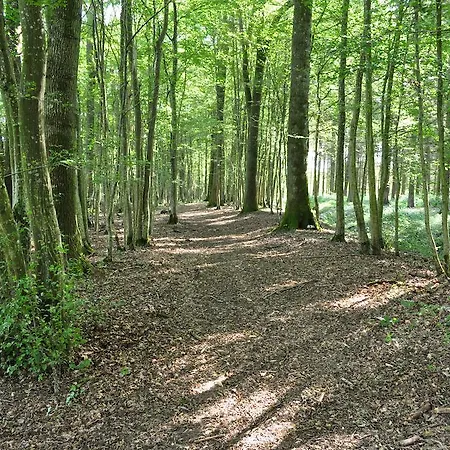 Gite De L'hirondelle Holiday home *