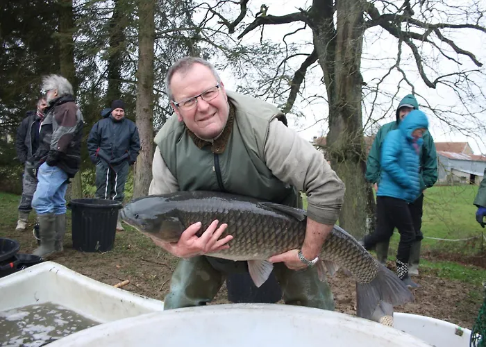 Hébergement de vacances De L'hirondelle