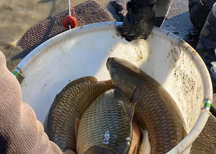 De L'hirondelle Hébergement de vacances *