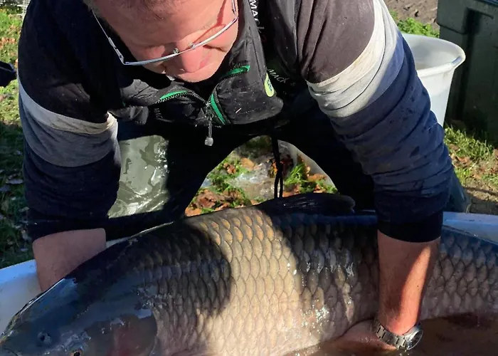 Hébergement de vacances De L'hirondelle *