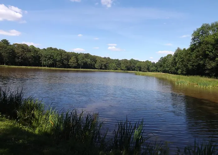 Hébergement de vacances De L'hirondelle *