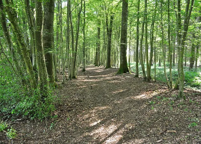 De L'hirondelle Hébergement de vacances *