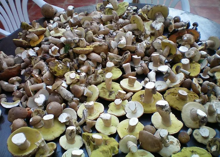 Hébergement de vacances De L'hirondelle Mareuil-en-Brie