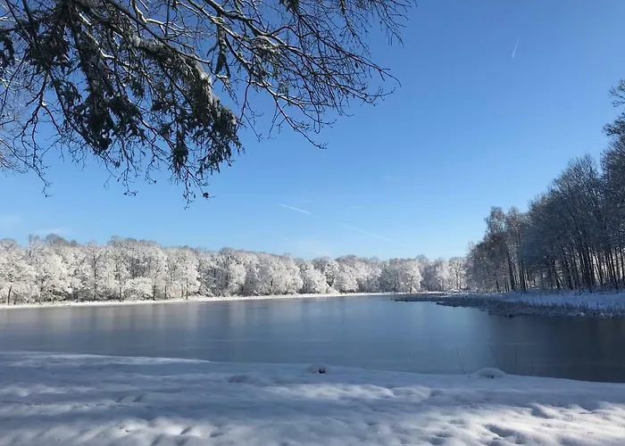 Hébergement de vacances De L'hirondelle Mareuil-en-Brie